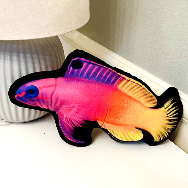 Royal Gramma Pillow for wholesale by Reef of Clowns