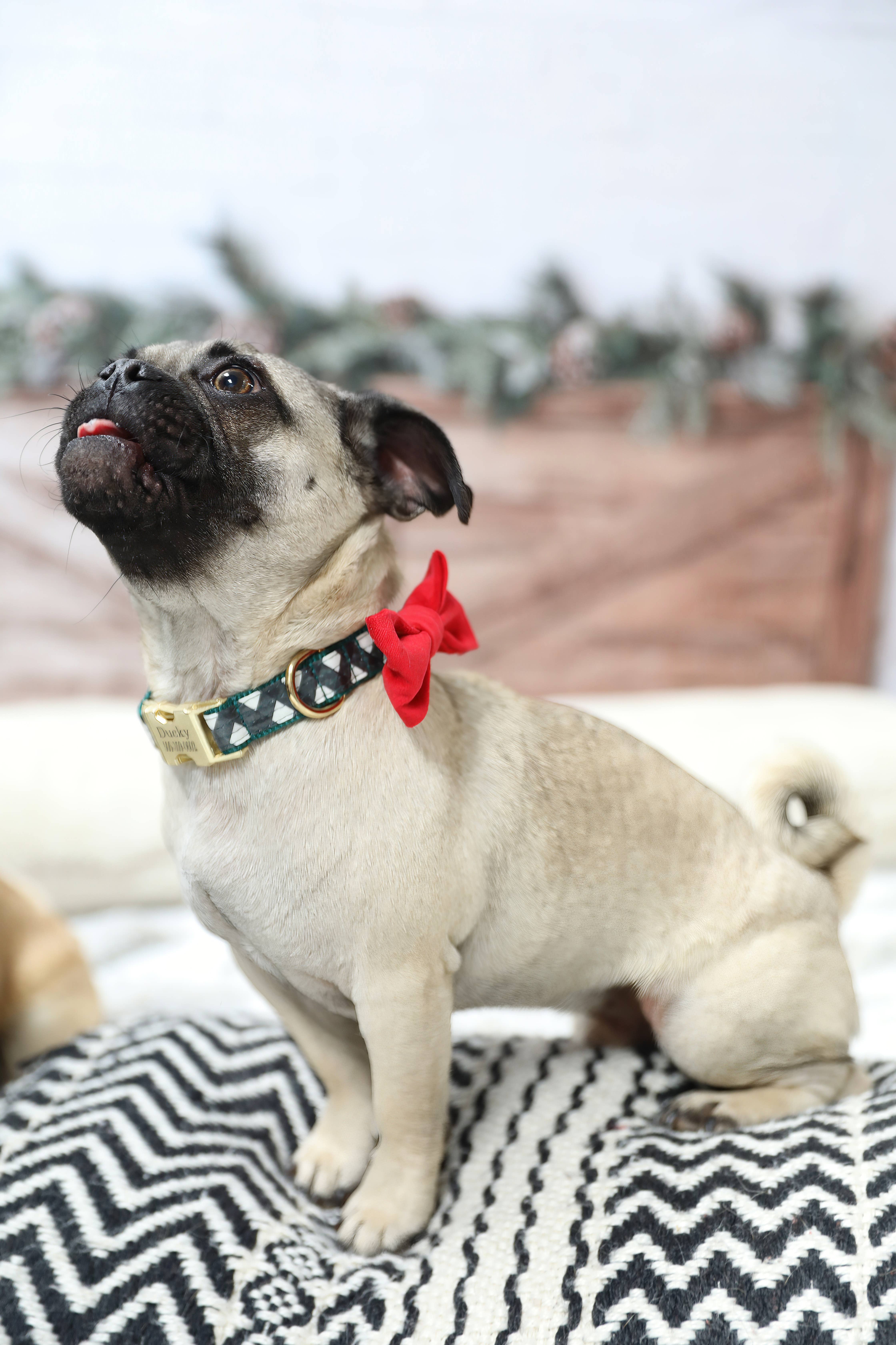 Mimi Green - Wholesale Vlinderdas - Hond - Kerst Velours Hondenhalsband Vlinderdas in Rood en Groen5