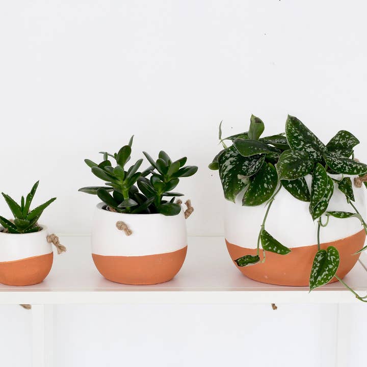 Sprout & About - Wholesale Hanging Planter - Small Burnt Orange Ceramic Hanging Planter Pot in White