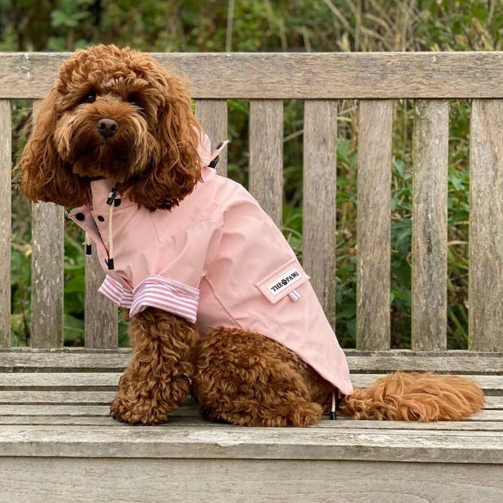 The Paw Co - Wholesale Pet raincoat – Dog - Sloane Waterproof Dog Rain Jacket Blush4