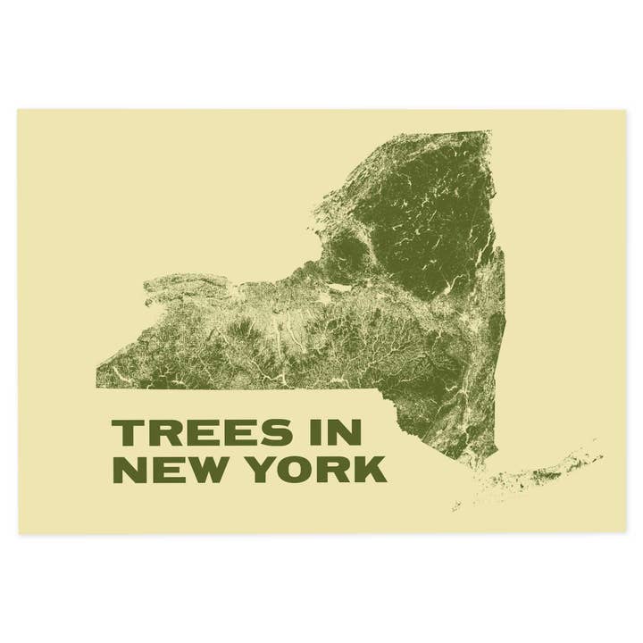Trees in New York for wholesale by Scott Reinhard Maps