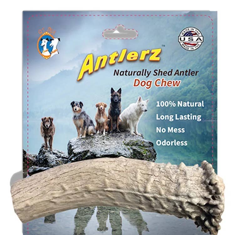 QT Dog, LLC - Wholesale Pet Chew Toy - Dog - Antlerz6