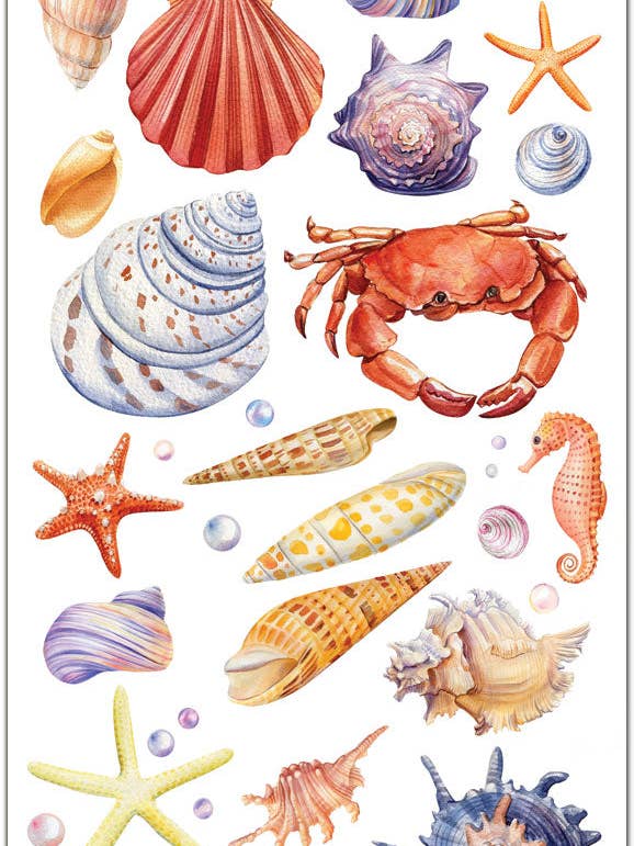 Autocolantes Aquarela de Conchas e Caranguejo por atacado de Violette Stickers