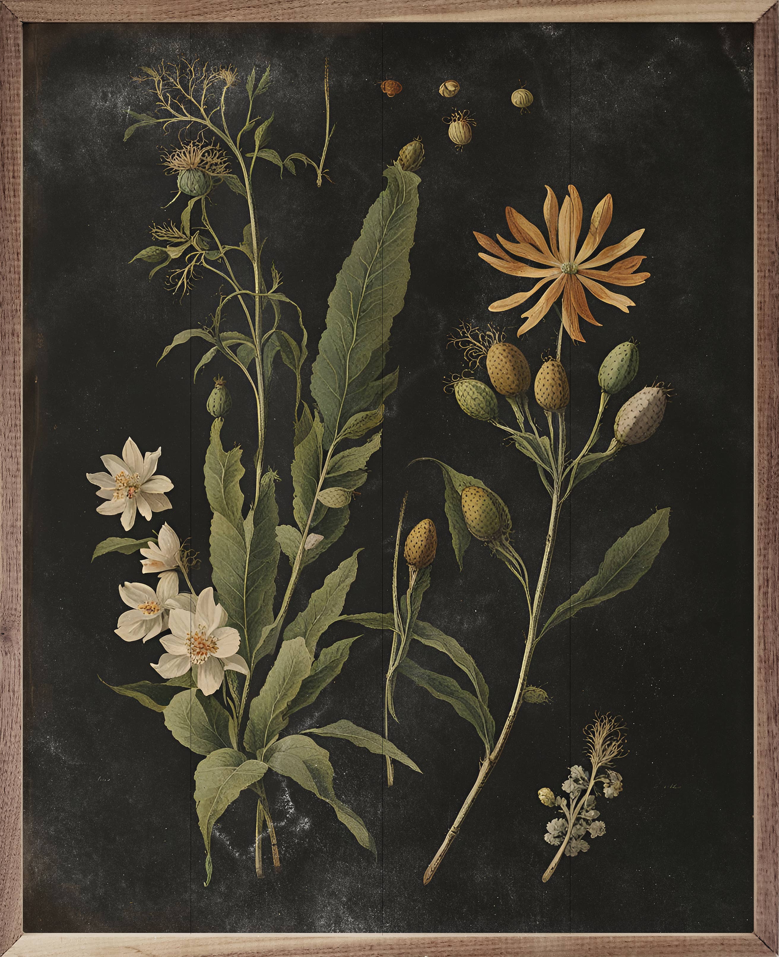 Kendrick Home - Wholesale Art Print - Vintage Cream Floral Print Black