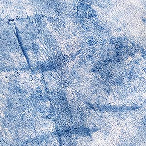 Tracey Tanner – wholesale Phone wallet – women's – Tia Crossbody Phone Case54