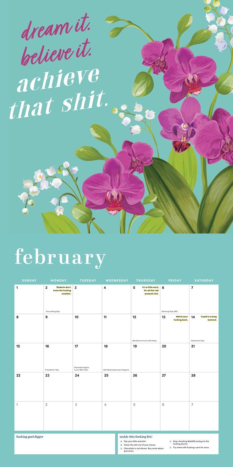 Sourcebooks - Wholesale Calendar - 2026 She Believed She Could So She F*cking Did Wall Calendar2