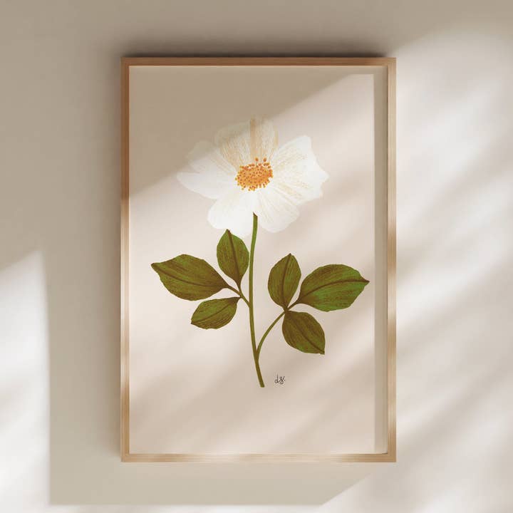 Cottage Rose Blomster Vægkunst for engroshandel hos GREENHOUSE SOCIETY PAPER