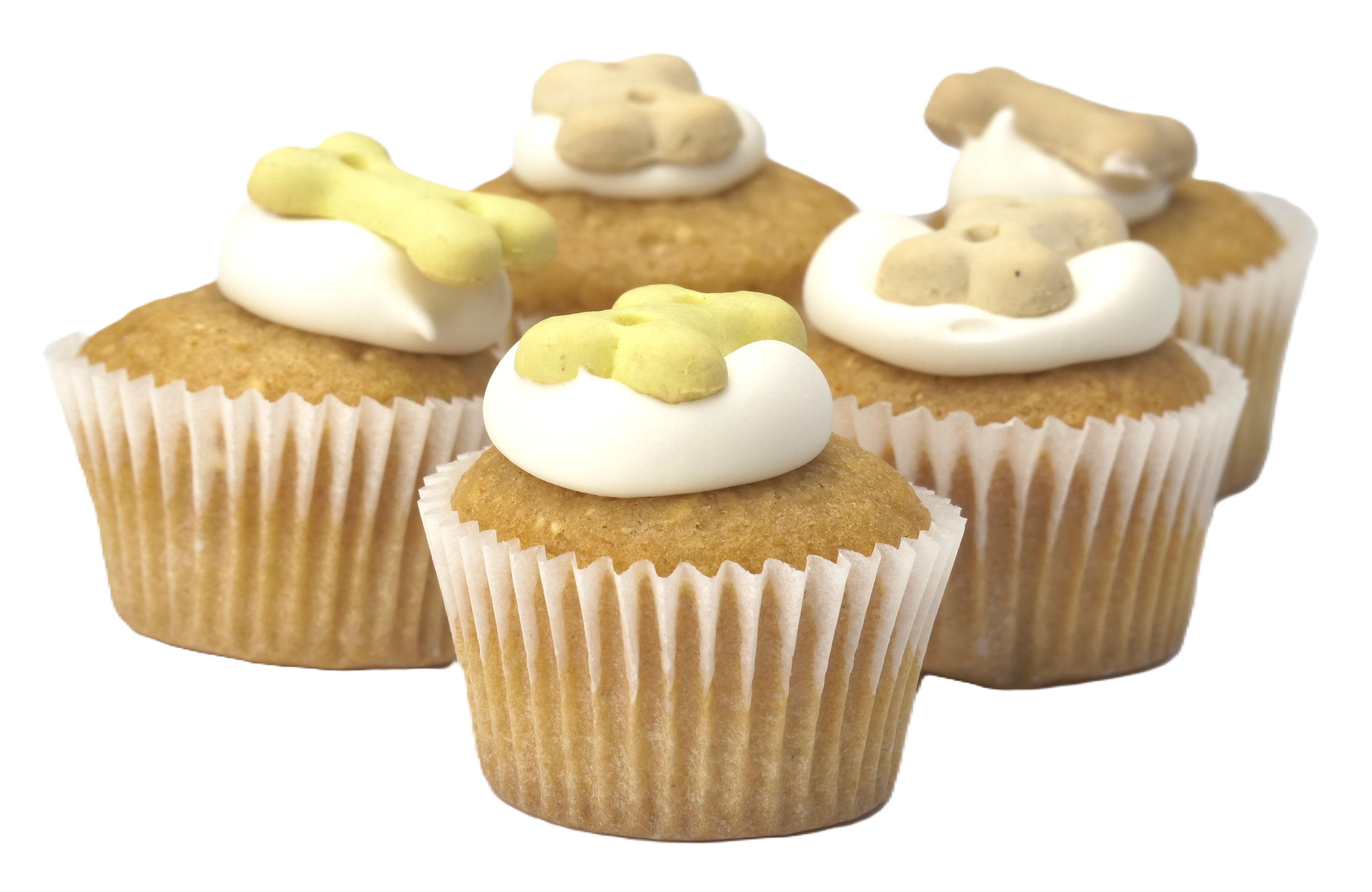 Wagging Dog Bakery - Wholesale Pet Treats - Dog - Puppin Cupcake Dog Treats -  Refillable Jar + 100 Treats2