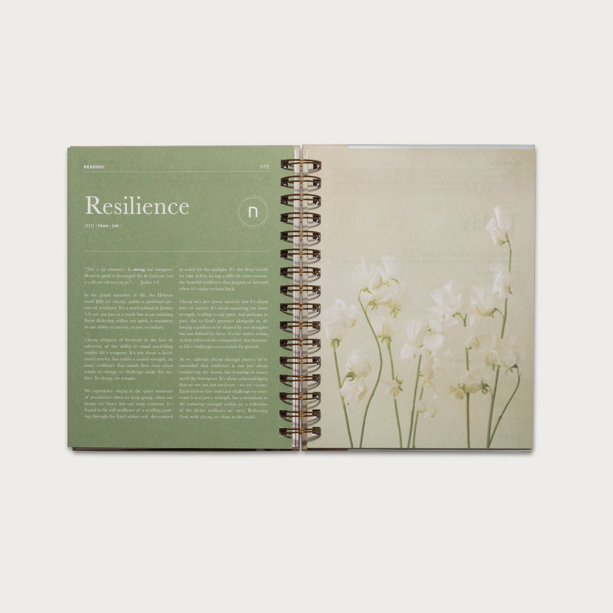 Alabaster Co - Wholesale Journal/Diary - The Prayer Journal8