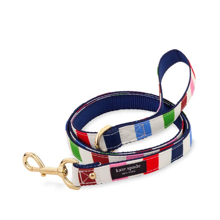 Grande laisse pour chien, Adventure Stripe pour la vente par Kate Spade New York by Lifeguard Press