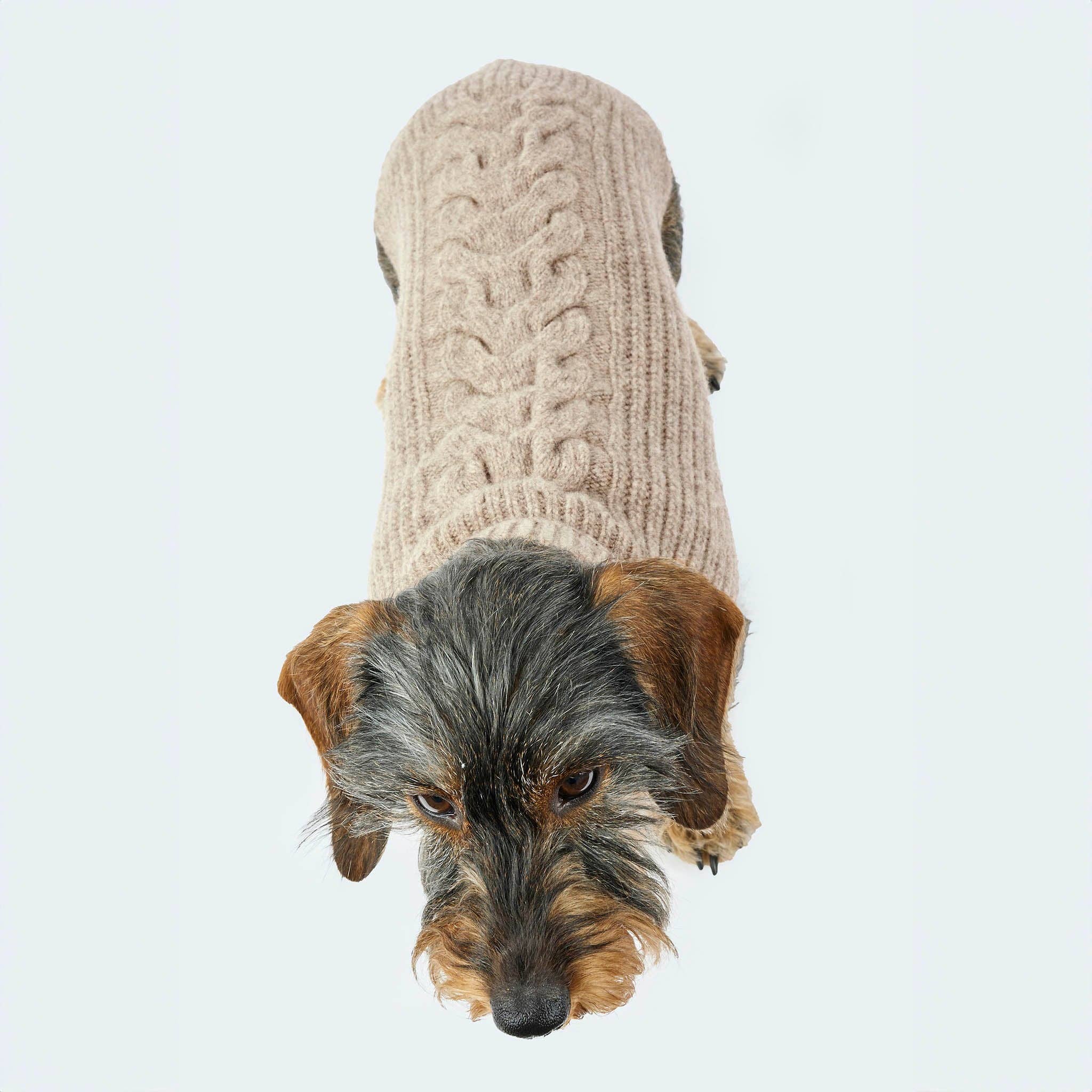 ​​Leopold's Finest for dogs - Wholesale Pet Sweater - Dog - Dog sweater taupe5