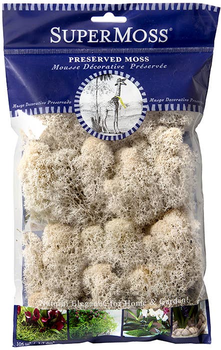 SuperMoss – Großhandel Pflanzen – SuperMoss Rentiermoos konserviert, 57 g Beutel13