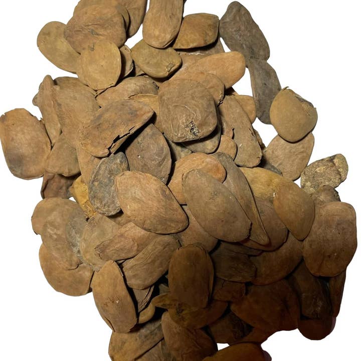 Babalaje - Wholesale Plant Seeds - 20 Abere Seeds