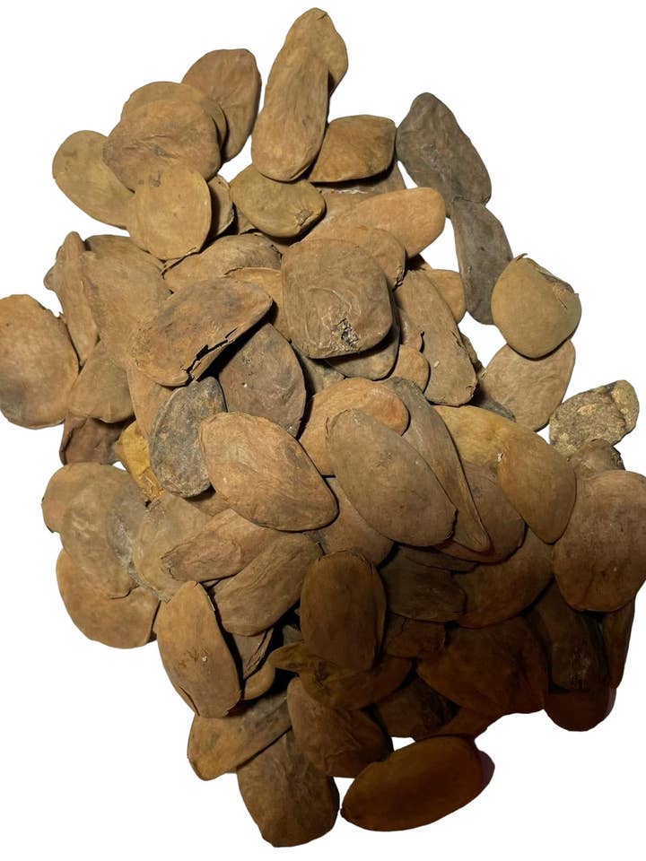 20 Semi di Abere per la vendita all'ingrosso da parte di Babalaje