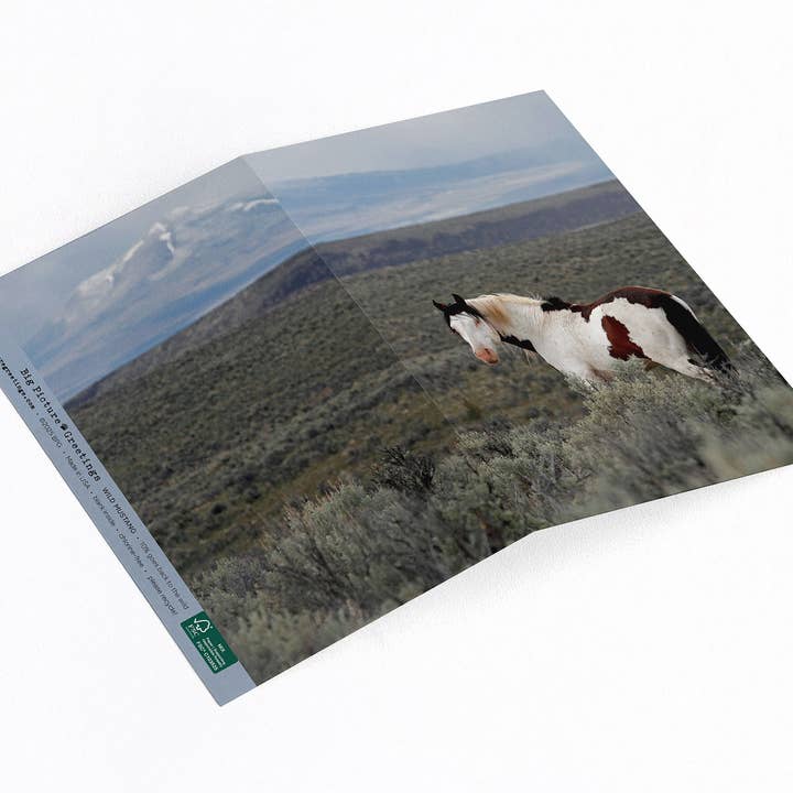 Wild Mustang note card for wholesale by Elster Photography/Big Picture Greetings