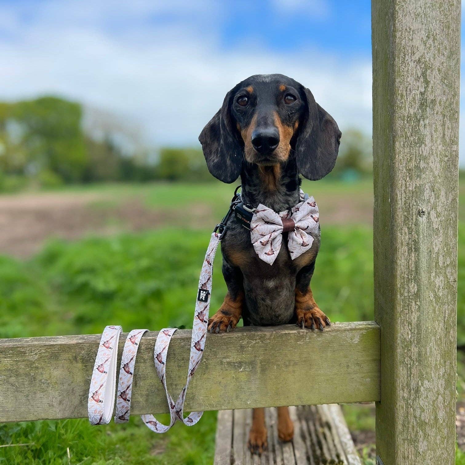 The aDoraBle Pooch Company – wholesale Pet bow tie – Dog – Dog Sailor Bow Tie - Farmland Pheasant13