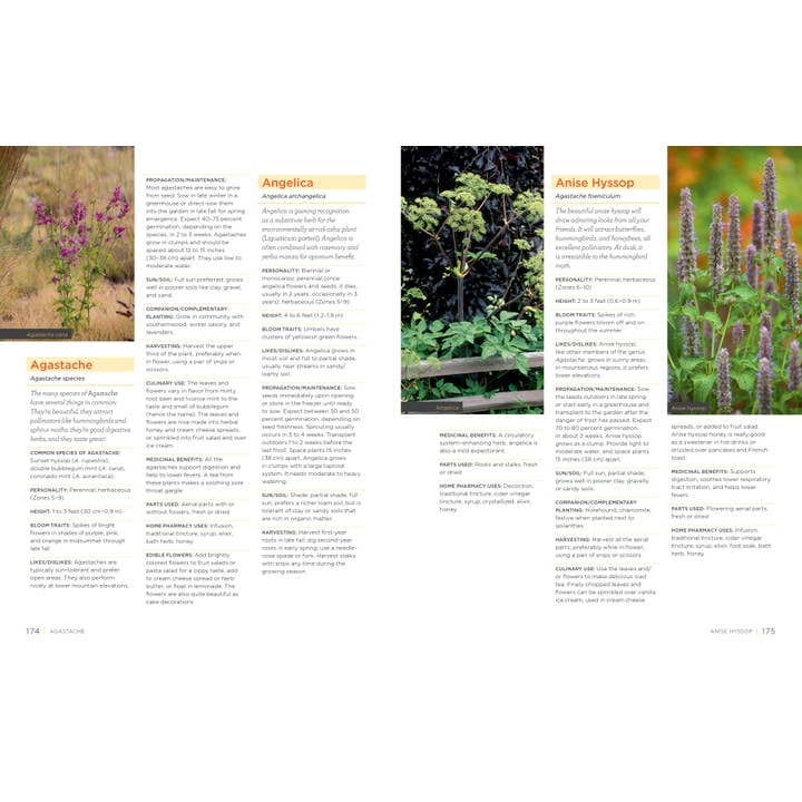 Hachette Book Group - Wholesale Book - Adult - Homegrown Herbs