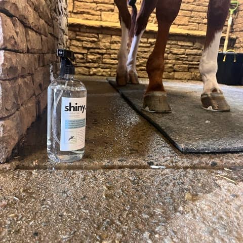 The Infused Equestrian - Wholesale Hair Conditioner - shiny. A Mane & Tail Conditioner (4 oz., 8 oz., 28 oz.)16