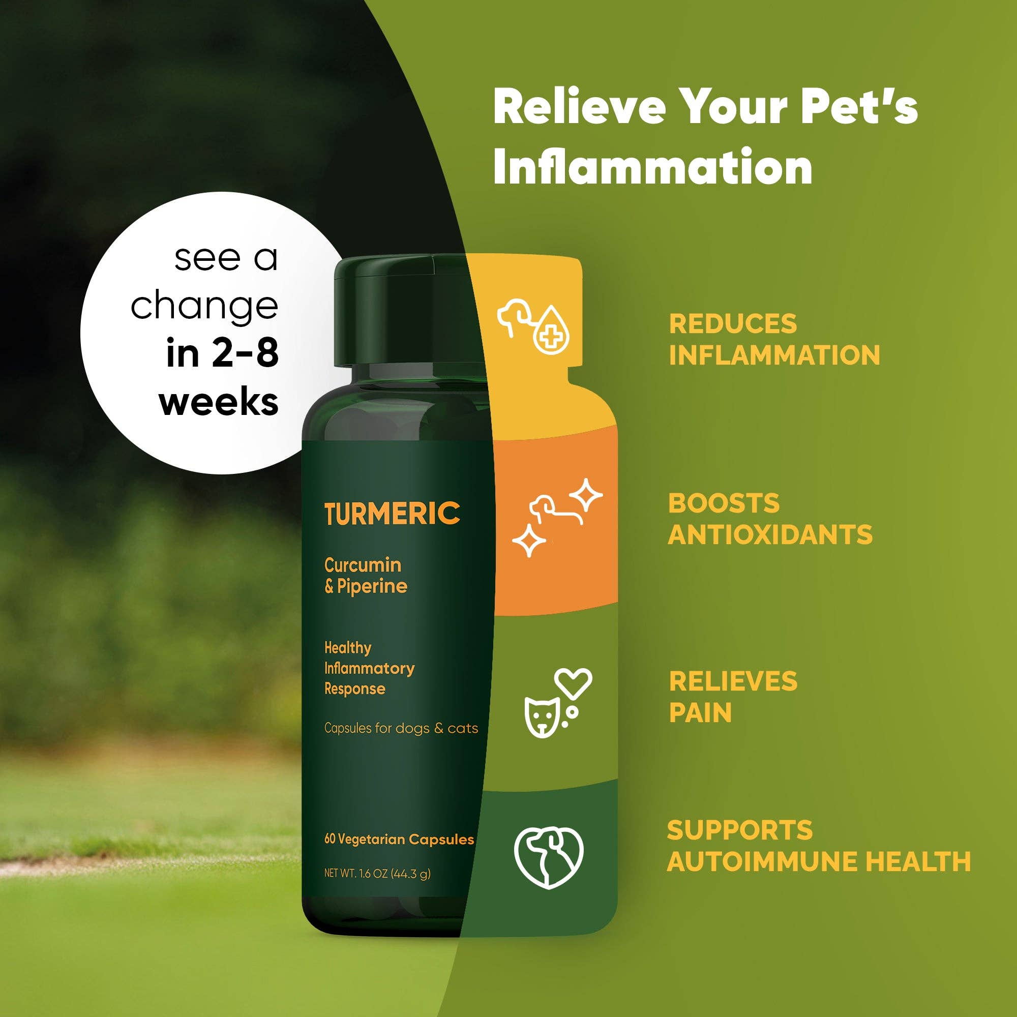 Rooted Owl® Natural Pet Health – wholesale Pet supplement – Cat/dog – Turmeric2