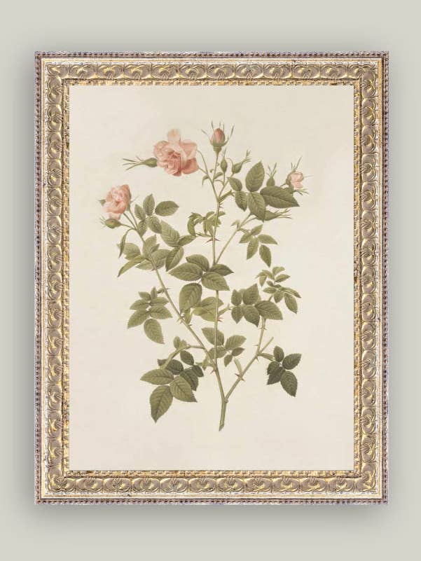 Rosa indrammet antik kunst for engroshandel hos Petal Lane Home