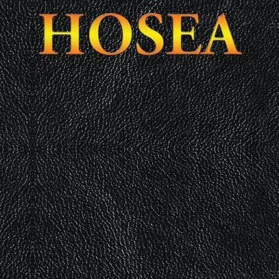 Books by splitShops - Wholesale Religion - Hosea: The Book of - Hardcover