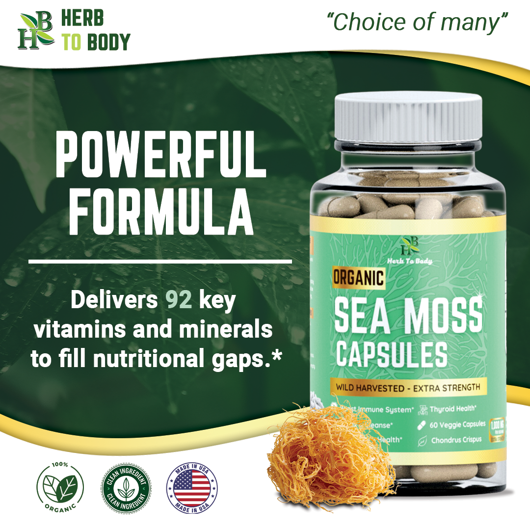 Herb To Body - Wholesale Oral Supplement/Vitamin - Organic Sea Moss Capsules (60 Cap) | Vitamins & Mineral Rich4