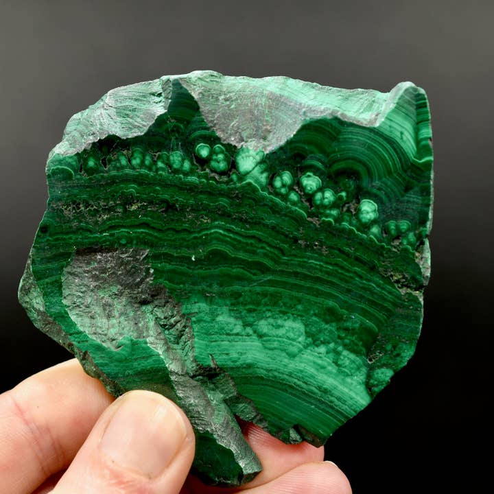 3.3in 110g Natural AAA Malachite Crystal Slab, Natural Malachite Gemstone, Congo m5 for wholesale by Caspar Curiosities