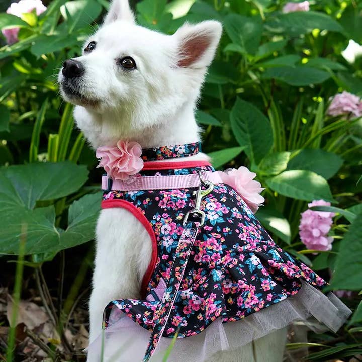 Blueberry Pet - Wholesale Pet Dress - Dog - 👗 6 Colors, 🌸Made Well Floral Dog Dress Harness
