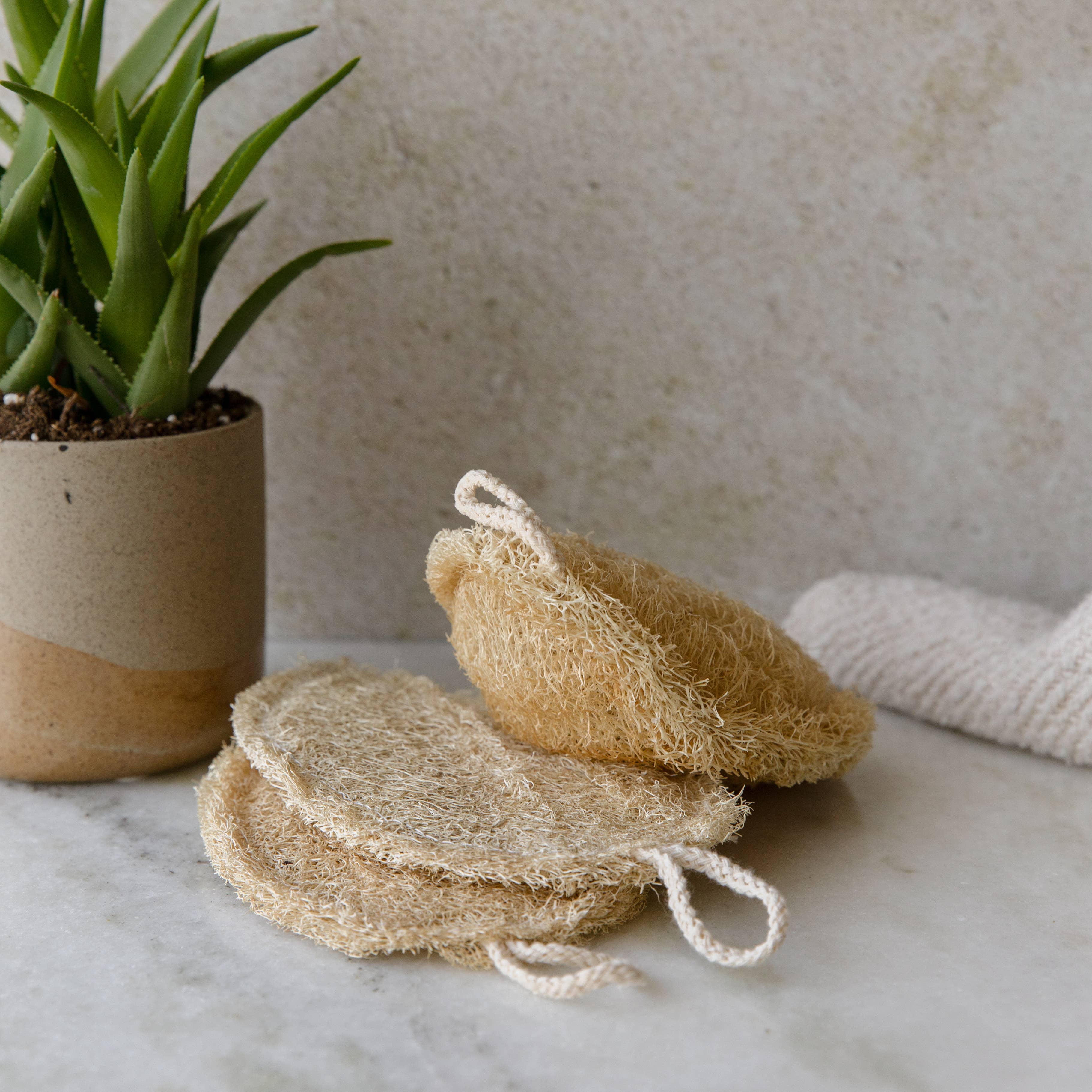 Earth Ahead - Wholesale Loofah - Double Layer Large Natural Loofah Sponge7