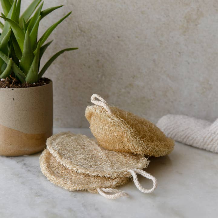 Earth Ahead - Wholesale Loofah - Double Layer Large Natural Loofah Sponge7