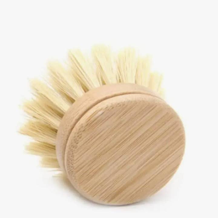 Re:gn Plastic Free Dish Brush Replacement Head for wholesale by Re:gn