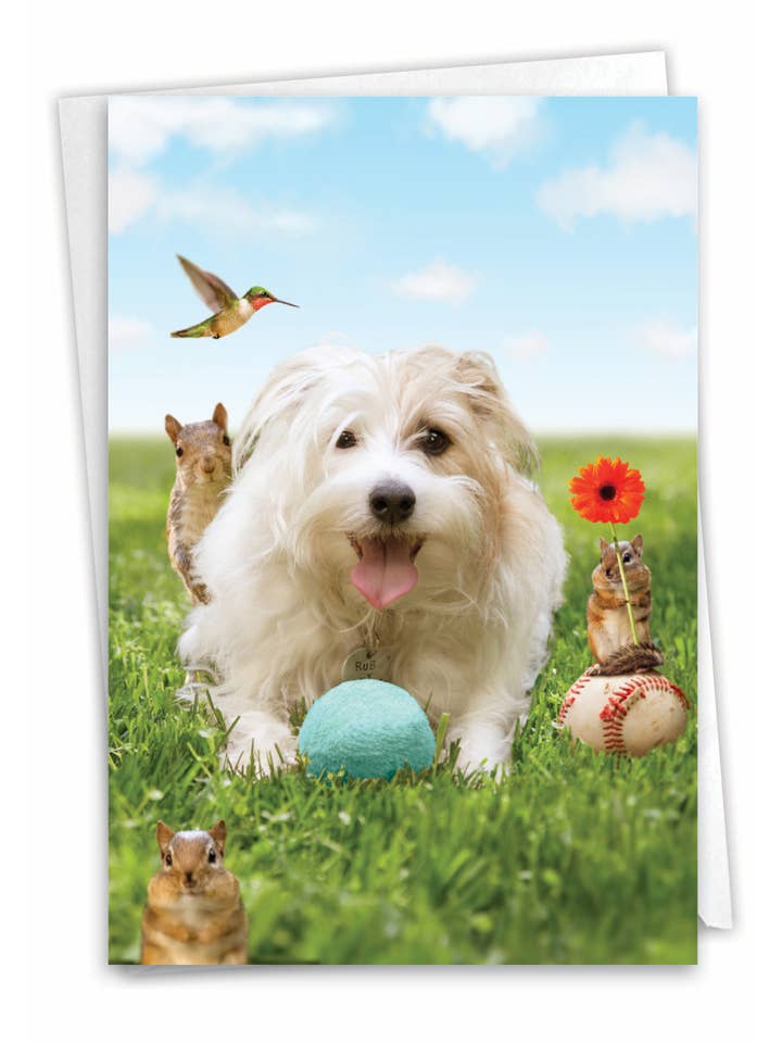 Biglietto d'auguri - Giochi con cani per la vendita all'ingrosso da parte di NobleWorks