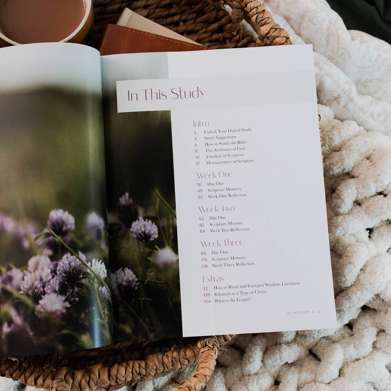 The Daily Grace Co - Vente Religion - Path to Purpose | Une étude sur le livre de l'Ecclésiaste2