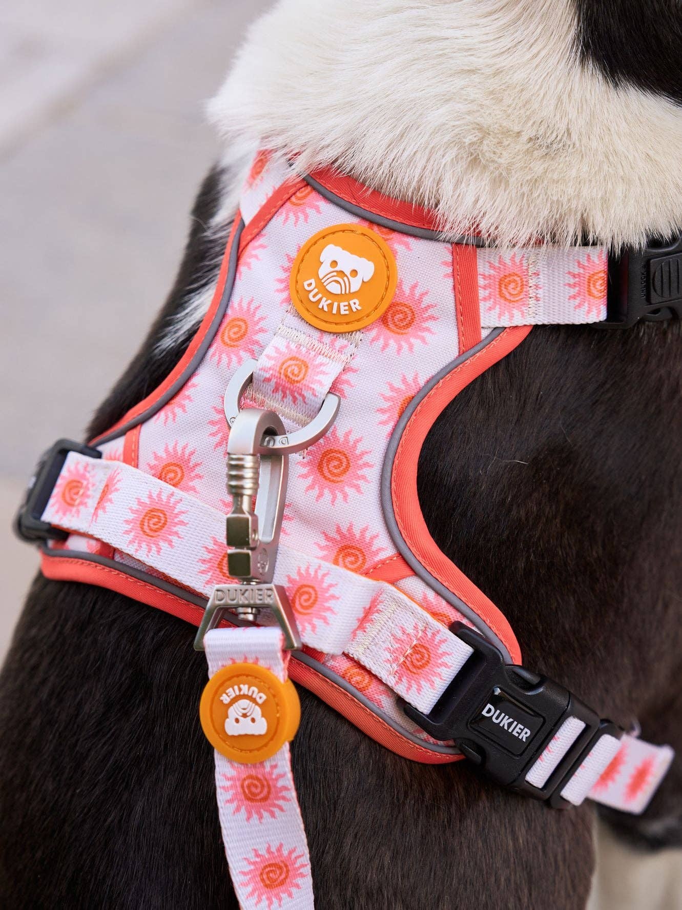 Dukier - Wholesale Pet Harness - Dog - SUN DOG TRAIL HARNESS4