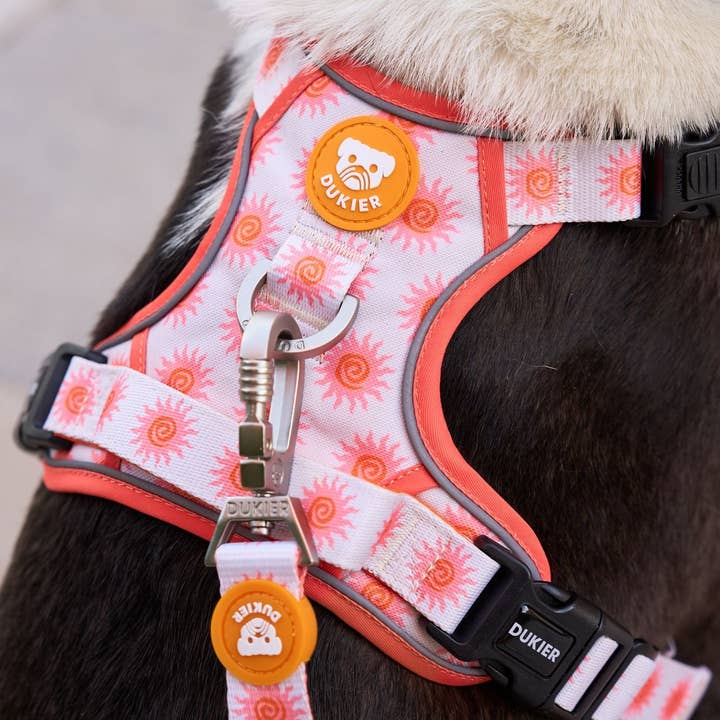 Dukier - Wholesale Pet Harness - Dog - SUN DOG TRAIL HARNESS4