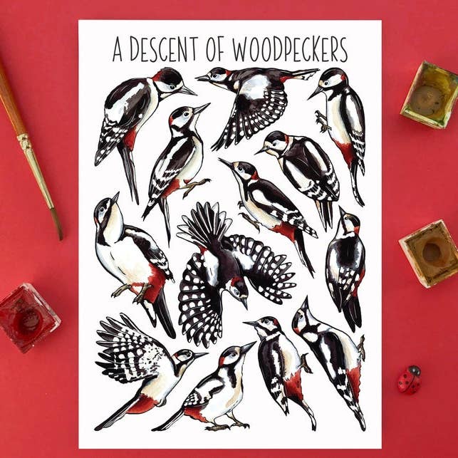A Descent of Woodpeckers Art Blank Postcard for wholesale by Alexia Claire Ltd