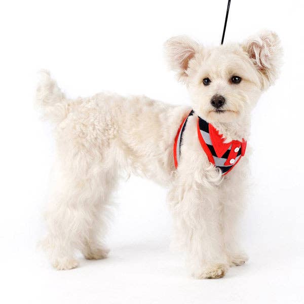 Dogo Pet - Wholesale Pet Harness - Dog - EasyGO Polo16