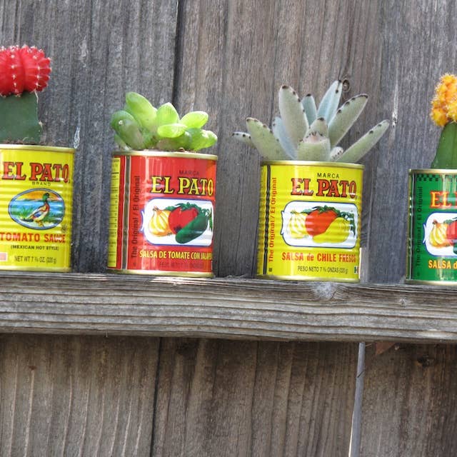 All Little Cute Things - Wholesale Vase - Fiesta Decorations. Centerpieces, Flower Vases Table Setting6