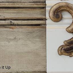 Blackberry House Paint - Wholesale Furniture Wax/Paint - The Finish Wax Sealer - Blackberry House Paint6