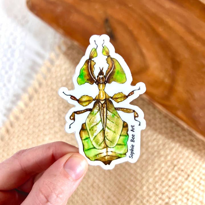 Adesivo in vinile Leaf Bug 3x2" per la vendita all'ingrosso da parte di Sophie Bee Art