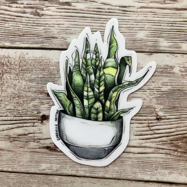 Snake House Plant - Vinyl Sticker (W) for wholesale by Documented Journey