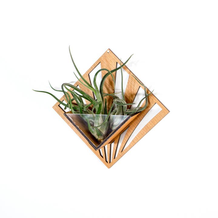 LIGHT RAZOR DESIGN STUDIO - Wholesale Wall planter - Air Plant Holder / Quadrate Wall Hanging Planter 254