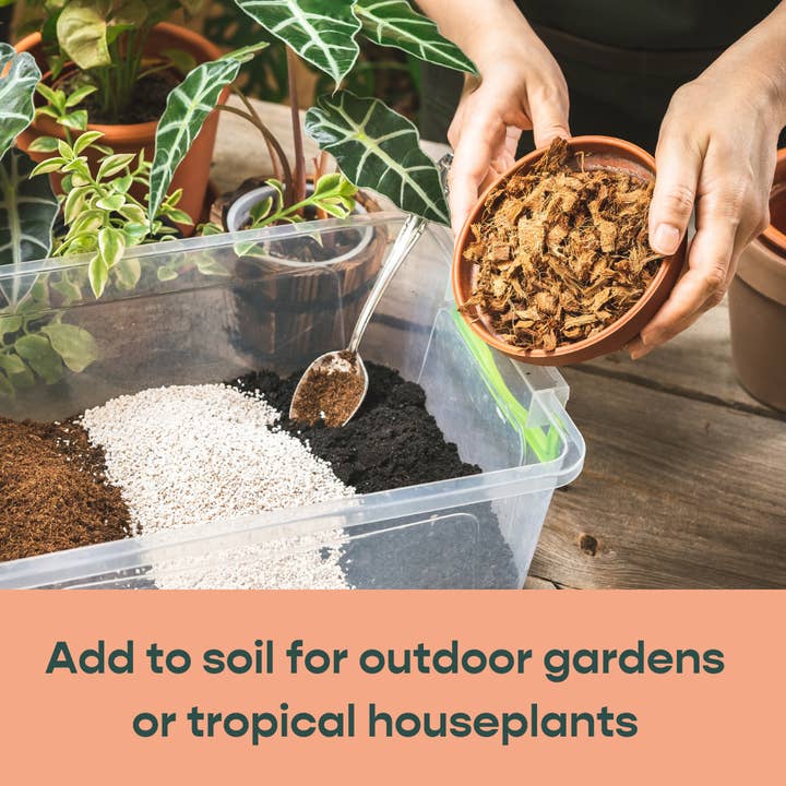 Southside. - Wholesale Planting/Potting Soil - Coco Chip - Chunky Coconut Husk for Houseplant Soil Aeration3