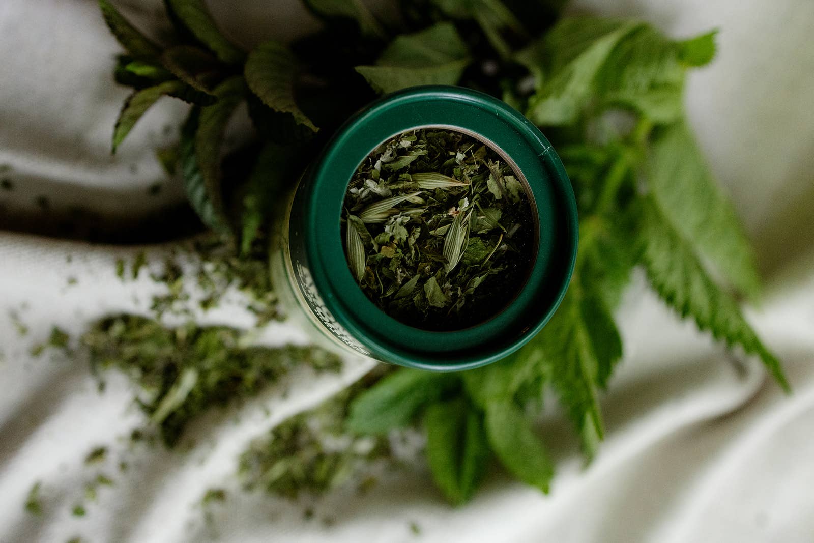 Among the Oaks Herb Farm - Wholesale Loose Tea - Taurus Moon - Farm Fresh Loose Leaf Herbal Tea2