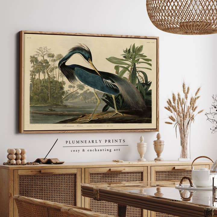 Plumnearly Prints - Wholesale Canvas Art - Louisiana Heron Audubon Illustration Framed Canvas Art 3