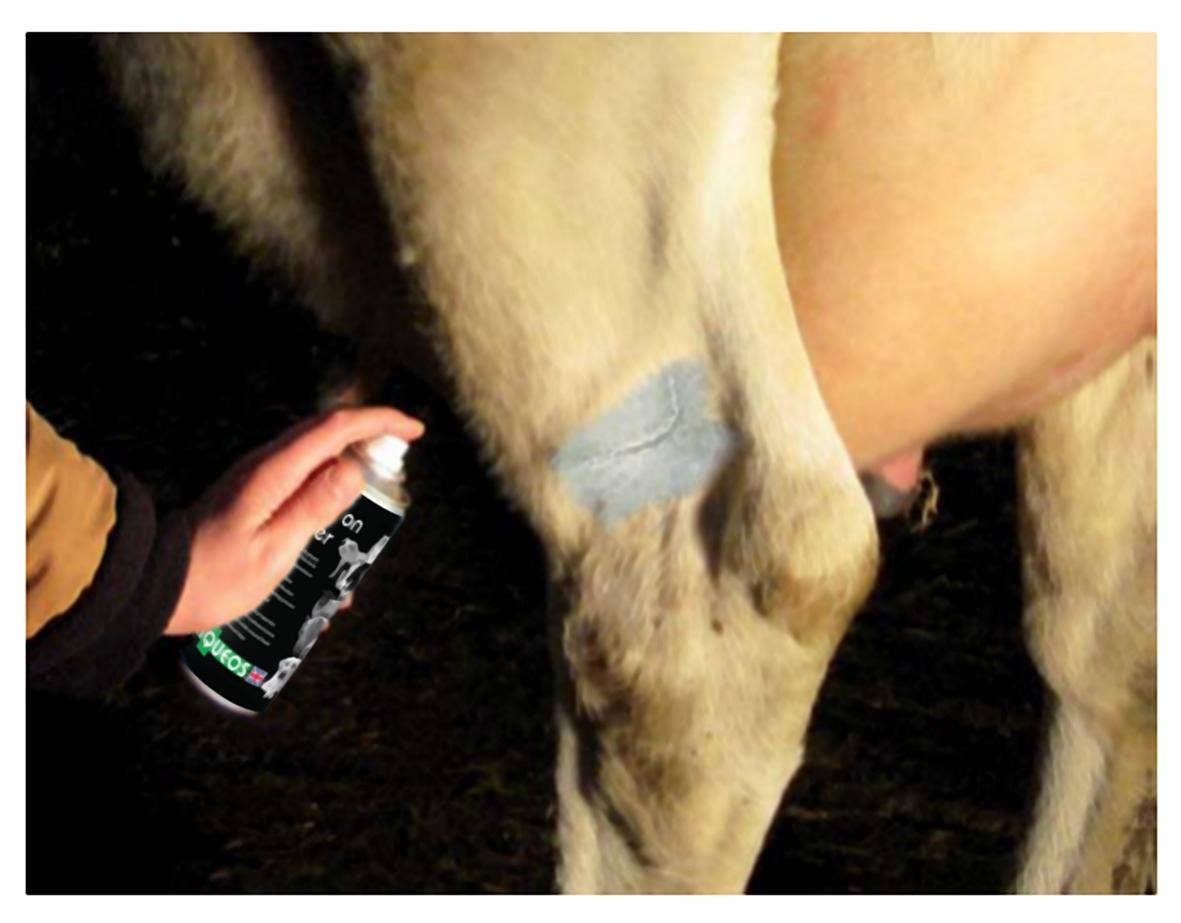 Aqueos - Wholesale Pet Flea/Tick Spray - Spray on Plaster for Animals 200ml3