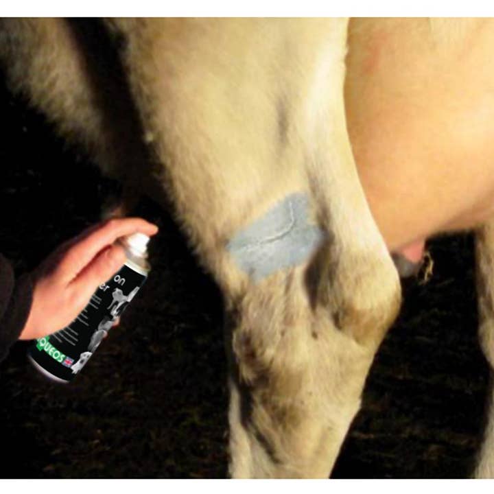 Aqueos - Wholesale Pet Flea/Tick Spray - Spray on Plaster for Animals 200ml3