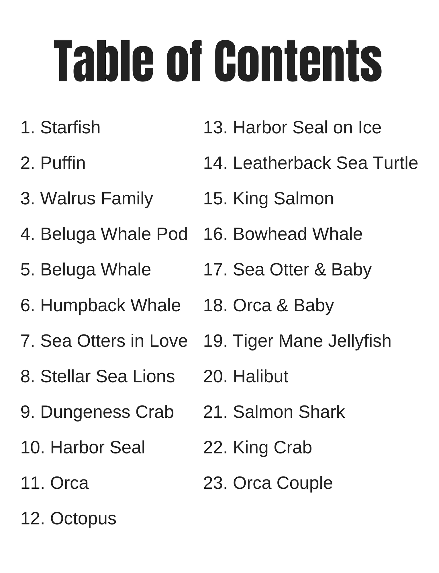 Alaska Wild & Free - Wholesale Kleurboek - Volwassene - Kleurboek met Zeedieren van Alaska2