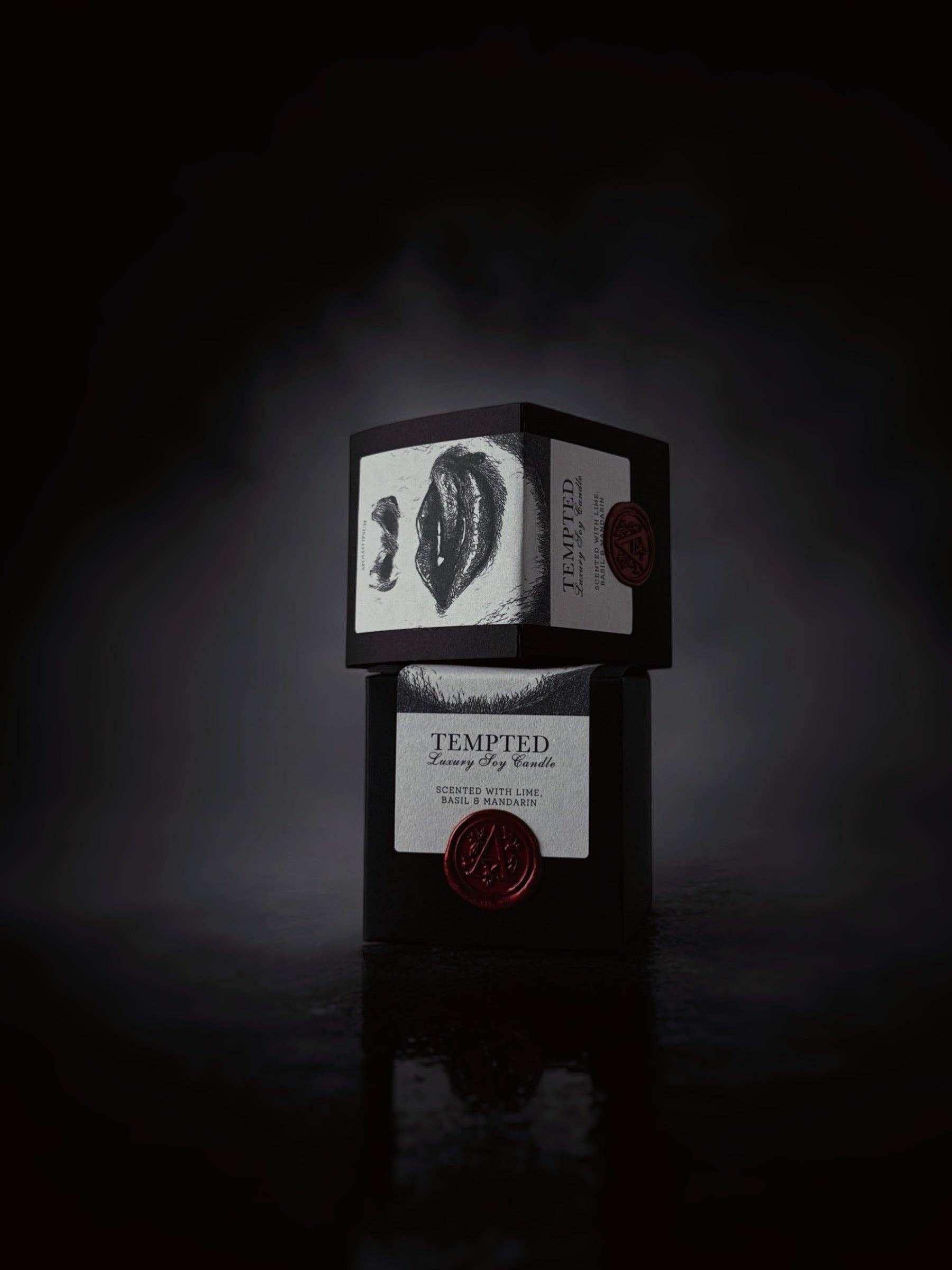 REMOVED BRAND - Wholesale Jar/Filled Candle - Tempted2