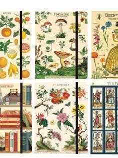 Cavallini Notebook Large Pack - 12 Assorted for wholesale by Cavallini & Co